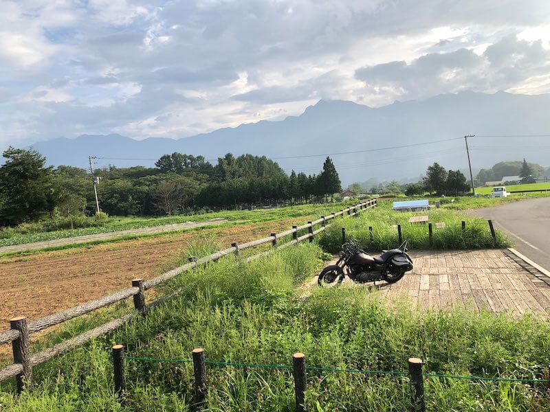 ティカトウさんの写真